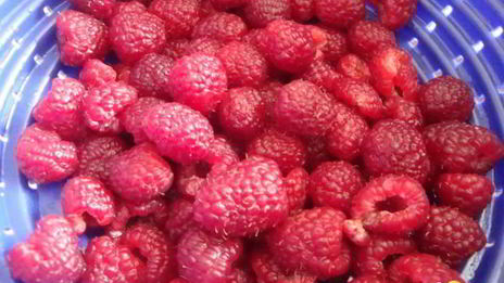 торт-безе с творожно-малиновой начинкой