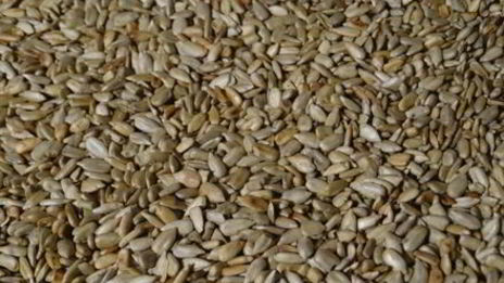 халва домашняя