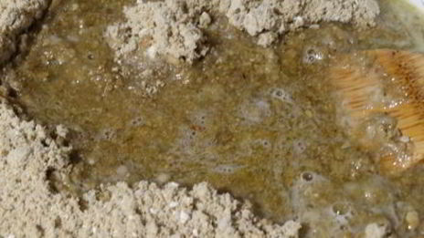 халва домашняя