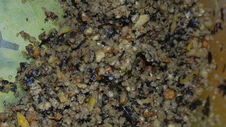 конфеты с базиликом