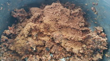 сыроедческие конфеты из моркови, сухофруктов и орехов