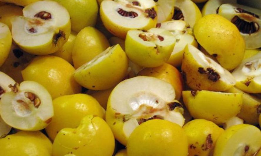 Рецепт домашнего айвового мармелада