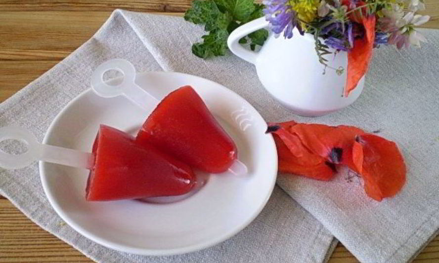 Рецепт мороженого из сока