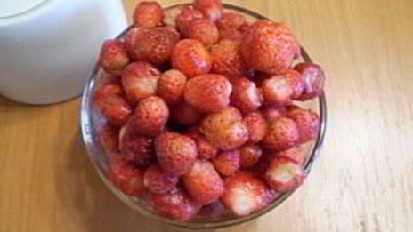 мороженое из сока