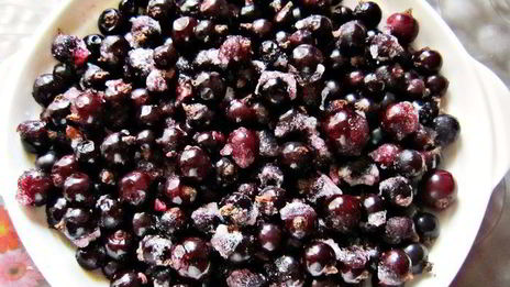 торт-мороженое ягодно-ореховый дуэт