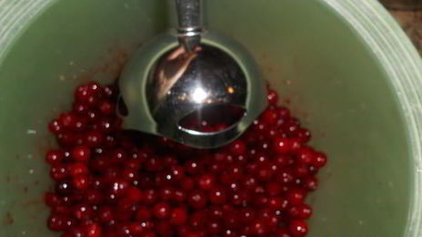 брусничный мусс