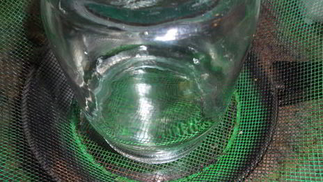 брусничный мусс