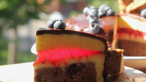 лимонно-шоколадный муссовый торт