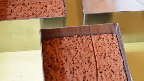 тирамису с кокосовым муссом, малиновым желе и черникой