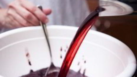 сорбет из черники