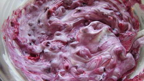 тирамису с лесными ягодами