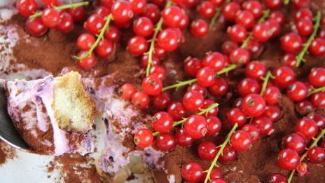 тирамису с лесными ягодами