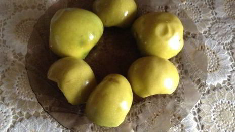 клюквенный зефир