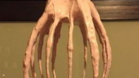 вишневый зефир