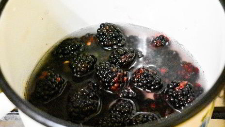 зефир из ежевики