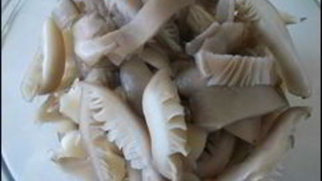 картофельные драники с мясом под грибным соусом