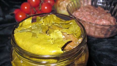 долма из маринованных листьев
