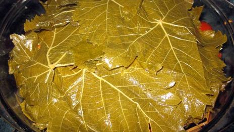 долма из маринованных листьев