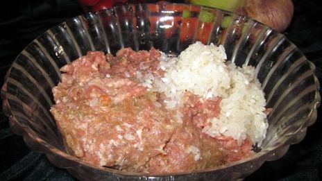 долма из маринованных листьев