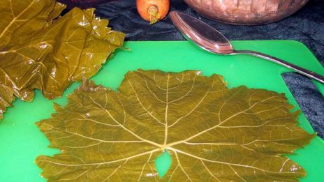 долма из маринованных листьев