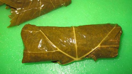 долма из маринованных листьев
