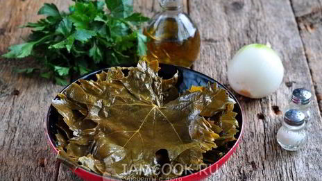 долма из маринованных виноградных листьев