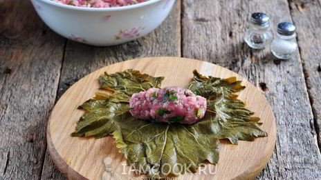 долма из маринованных виноградных листьев
