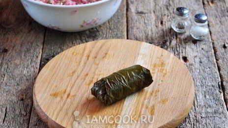 долма из маринованных виноградных листьев