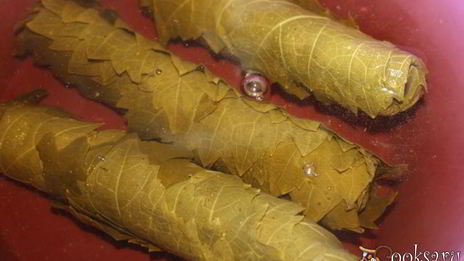 долма из маринованых виноградных листьев с говядиной