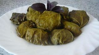 Долма из свежих виноградных листьев
