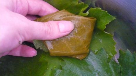 долма из свежих виноградных листьев