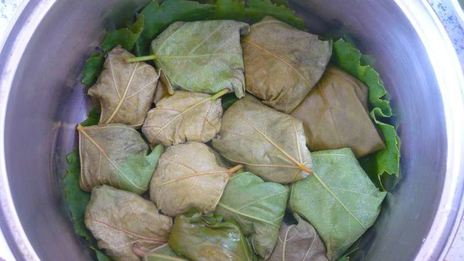 долма из свежих виноградных листьев