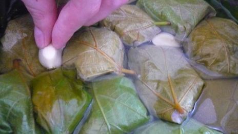 долма из свежих виноградных листьев