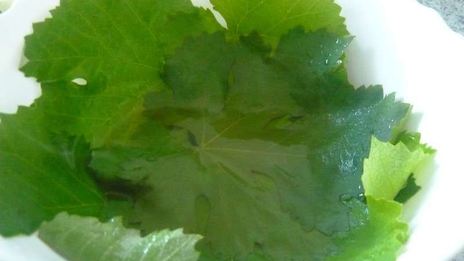 долма из свежих виноградных листьев