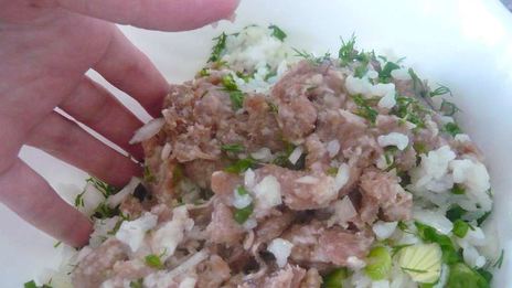 долма из свежих виноградных листьев