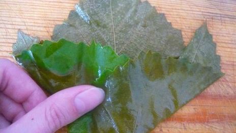 долма из свежих виноградных листьев