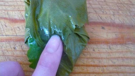 долма из свежих виноградных листьев