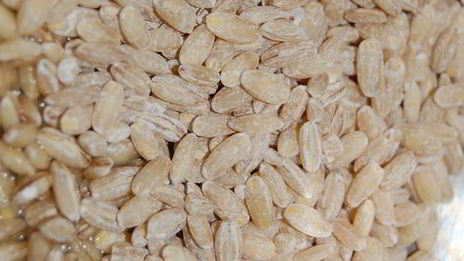 долма из виноградных листьев