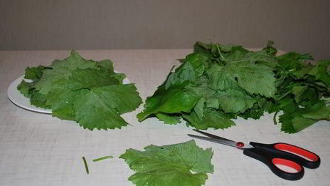 долма с чесночным соусом и кинзой