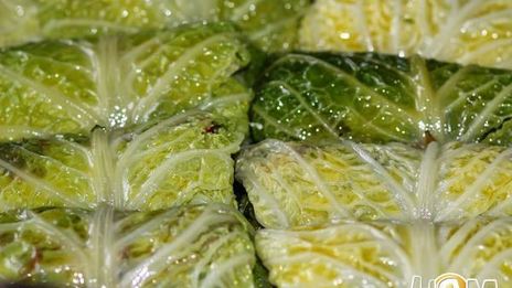 голубцы из савойской капусты богатые
