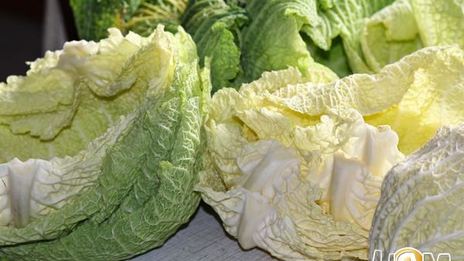 голубцы из савойской капусты богатые