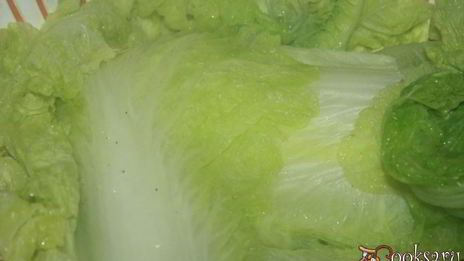 голубцы с мраморной говядиной во вкуснейшем сметанно-овощном соусе