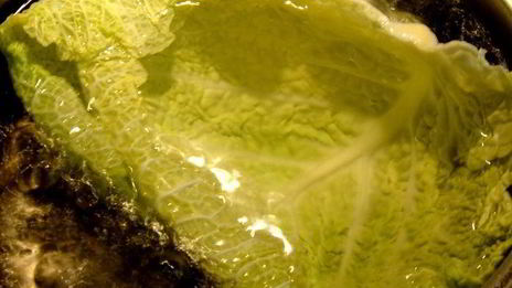 паровые голубцы