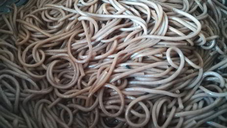 гречневая лапша со свежим огурцом