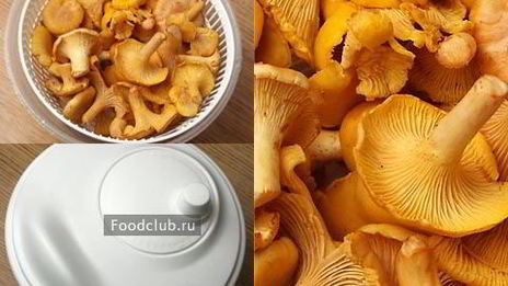 грибы-кокот