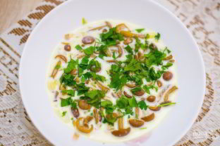 Грибы лисички