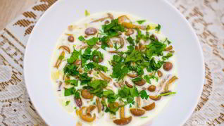 Грибы лисички