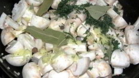 грибы закусочные