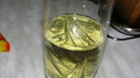 грибы закусочные