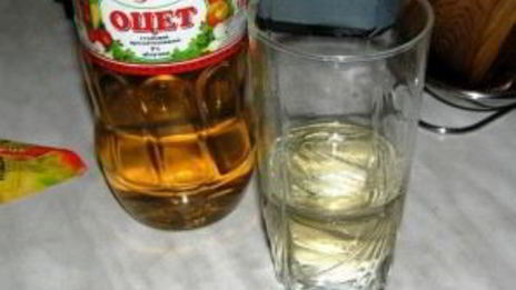 грибы закусочные